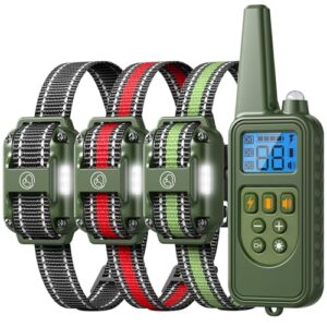 Dog Training Collar with Remote, B0CTGYDZ64