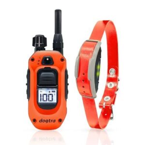 Dogtra 1900X Orange E Collar for B0FR6JKL8Y