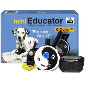 Educator ET 300 Zen Mini E B0727P989B