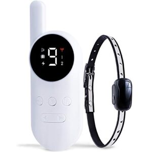 GoodBoy Mini No Shock Remote B07VHK2WZL