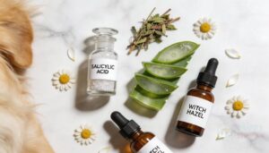 ingredients to look for ingredients to look for