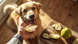 is pear skin safe for dogs is pear skin safe for dogs