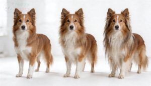 length differences at a glance length differences at a glance