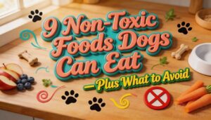 non toxic foods dogs