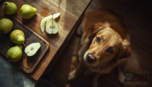 pear skin risks for dogs pear skin risks for dogs