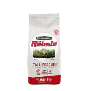 Pennington The Rebels Tall Fescue B08QC7VV6J