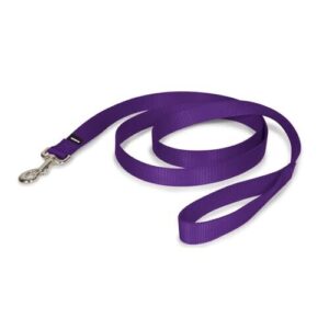 PetSafe Nylon Leash Helps B000OGP8OI