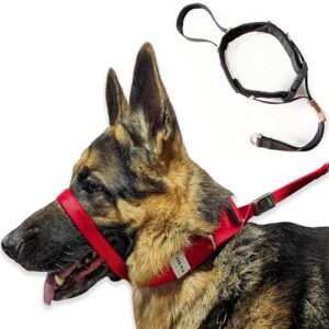 PetsProMax Dog Headcollar for Pulling B0CLRZL5D1