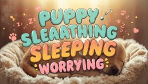 puppy breathing fast while sleeping puppy breathing fast while sleeping