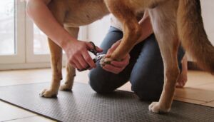 starting with the back paws first starting with the back paws first