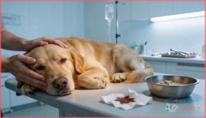 vomiting and diarrhea vomiting and diarrhea