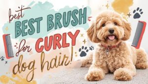 what brush to use for curly dog hair