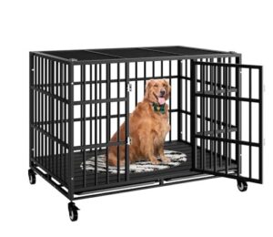 48 Inch Heavy Duty Dog B0DQHCVVTB