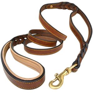 6 Foot Braided Leather Dog B01M1YEFV8