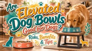 are elevated dog bowls good for dogs