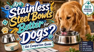 are stainless steel bowls better for dogs are stainless steel bowls better for dogs