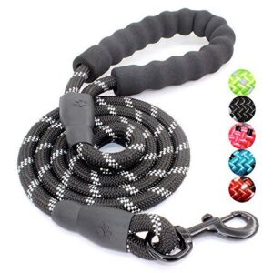 BAAPET 2/4/5/6 FT Dog Leash B078MYFT8D