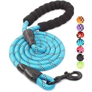 BAAPET 2/4/5/6 FT Dog Leash B078N3FCHT