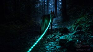 best option for dark trails and parks best option for dark trails and parks