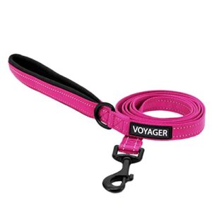 Best Pet Supplies Voyager Reflective B0B1F5F3VR