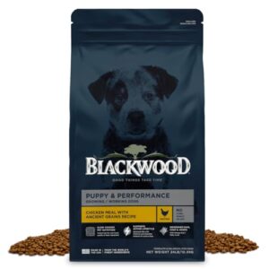 Blackwood Puppy & Performance Dry B0D2Y9LSMT