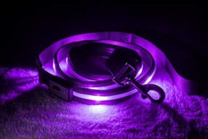 BLAZIN Light Up Dog Leash B01MATF411