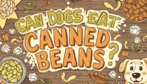 can dogs eat canned beans can dogs eat canned beans