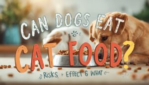 can dogs eat catfood can dogs eat catfood