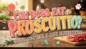 can dogs eat prosciutto can dogs eat prosciutto