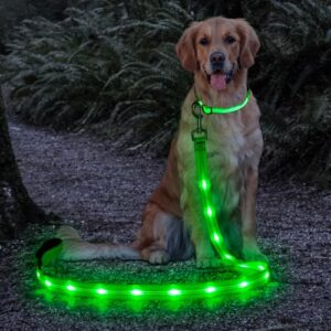 Candofly Light Up Dog Leash, B09ZTHRYNZ