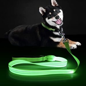 ChalkLit Led Dog Leash, 4 B0BZNR8BST