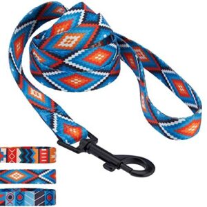 CollarDirect Nylon Dog Leash 5ft B09YBQXYLJ