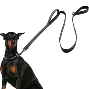 Dog Leash for Large Dogs, B073JF2CC3