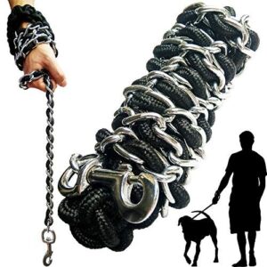 Dog Leash Metal Leashes Chain B07V1NBHSS