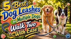 dog leashes for multiple dogs dog leashes for multiple dogs