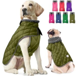 Fragralley Dog Winter Coat, Waterproof B0C5M3XSBV