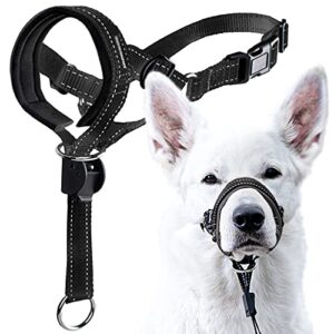 GoodBoy Dog Head Halter with B084GS2CGX