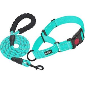 haapaw Martingale Dog Collar with B09RZR52W9