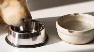 hygiene and bacteria resistance hygiene and bacteria resistance
