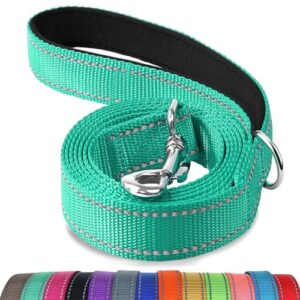 Joytale Dog Leash, 6 FT B087TDYZNR