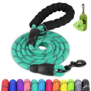 Joytale Dog Leash for Large B0BFPJKY96