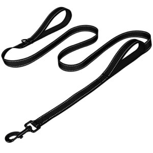 Joytale Dog Leash Heavy Duty B0C2PTSL6H