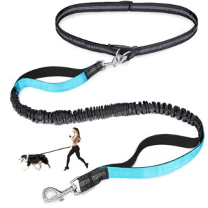 Laqibak Hands Free Dog Leash, B0CCJBDW3G
