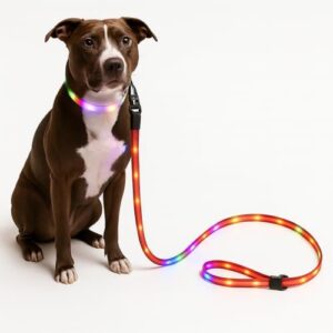LED Dog Leash for Safe B0BL8CHXSX