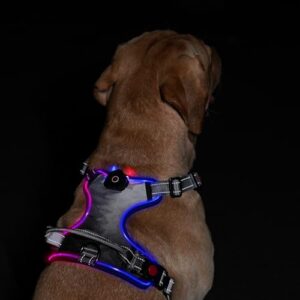 LED Light Up Dog Harness: B0BVQ5T7Y2