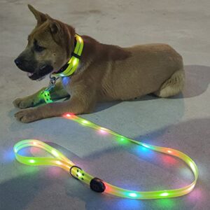 LED Light Up Dog Leash B09SDBN574