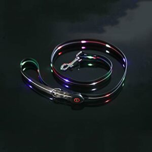 LED Lighted Dog Leash, Durable B09M8MG2LS