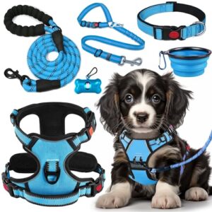 LOBEVE No Pull Dog Harness, B0CQ559MDH