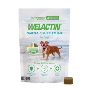 Nutramax Welactin Omega 3 Fish B09VYFVYL9
