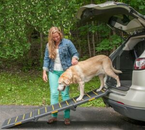 Pet Gear Tri Fold Portable Pet B0DVBWLY3C
